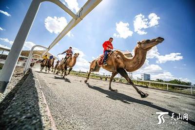 木垒 以“三城三产业三基地”为笔，绘就高质量发展与文艺创作共生共荣新画卷